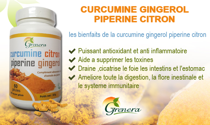 Curcumine Gingerol Piperine Citron